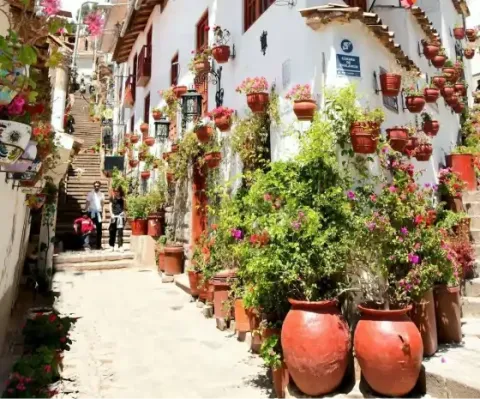 Calles Tipicas de Cusco con flores y maceteros | Happy Llamas Travel